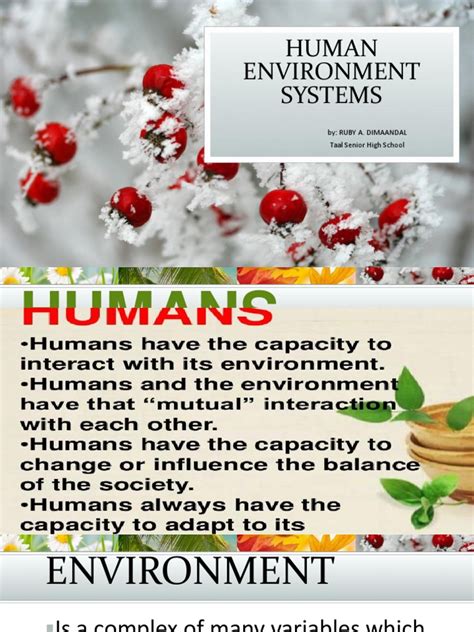 Human Environment System | PDF