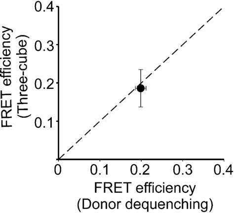 Agreement between the FRET Efficiency Measured Using | Download ...