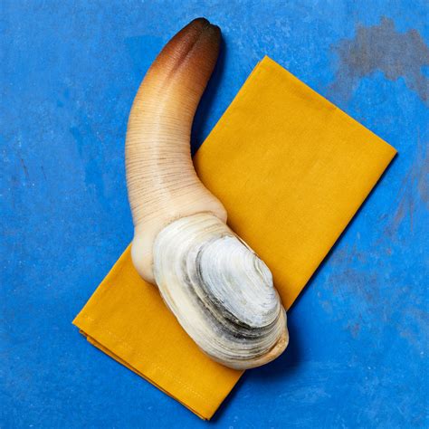 Geoduck | Taylor Shellfish Farms