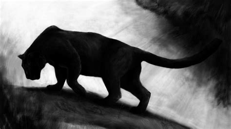 Prowess of the panther animal bigcat black tiger wildcat 31572 HD Wallpaper | Black panther ...