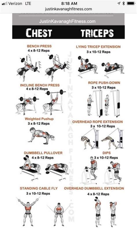 Is Dianabol Legal? What Does Dbol do to Your Body? Gym Workout Chart, Full Body Workout Routine ...