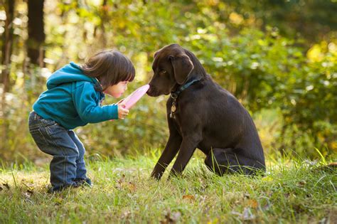 Animal Injuries | Kidsafe WA