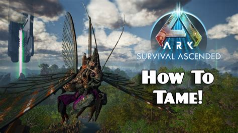 How To Tame Rhynio In ARK: Survival Ascended! - YouTube