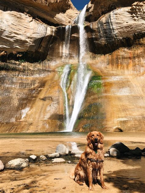 Camping in Grand Staircase-Escalante: Ultimate Travel Guide