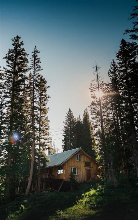 Lake Tahoe Mountain Cabins You’ll Fall In Love With — LocalVR