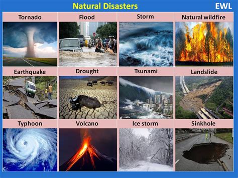 Natural Disaster Vocabulary | Vocabulary Home | Natural disasters ...