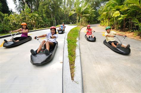 Skyline Luge Sentosa - Singapore Family Fun on Sentosa Island – Go Guides