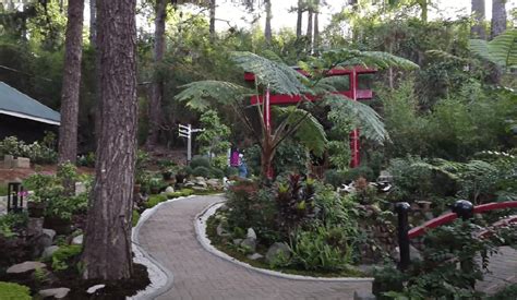 Baguio Botanical Garden Complete Guide