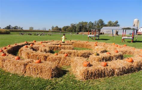 Pumpkin patch, corn maze offer fall family fun | Isanti | presspubs.com