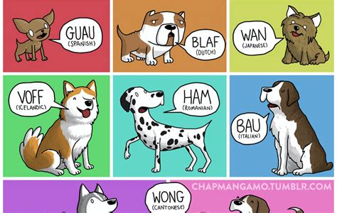 How Animals Sound In Different Languages. – The Language Nerds