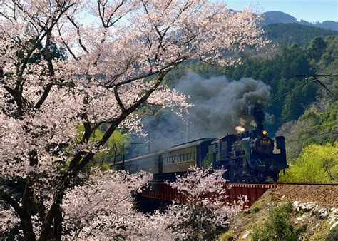 Sumata Gorge and Oigawa Railway - Explore Shizuoka