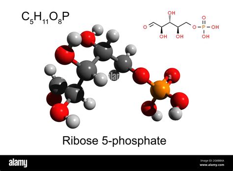 Chemical formula, skeletal formula and 3D ball-and-stick model of ...