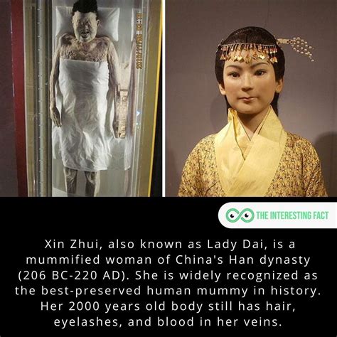 An interesting fact | History facts interesting, Unbelievable facts ...