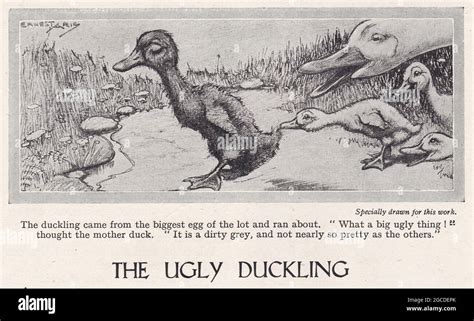 Vintage illustration of The Ugly Duckling Stock Photo - Alamy