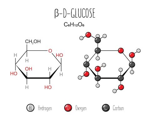 Premium Vector | Beta glucose representation Skeletal formula and 2d ...