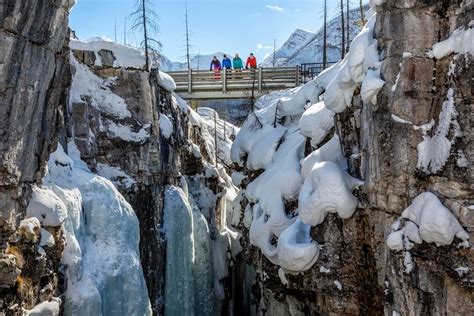 Snowshoeing Tour to Marble Canyon 2023 - Banff