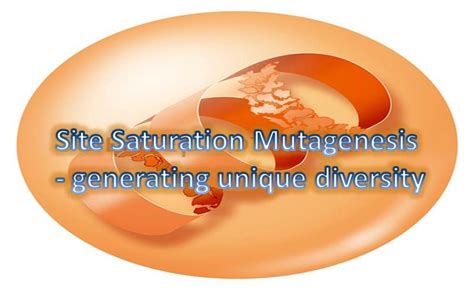 Site-Saturation Mutagenesis - Creative BioMart