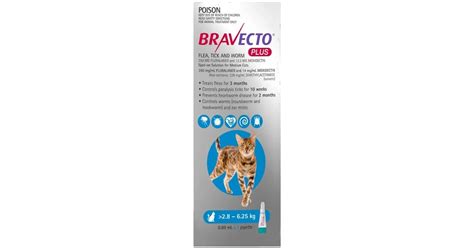 Bravecto Plus for Cats Questions | ProductReview.com.au