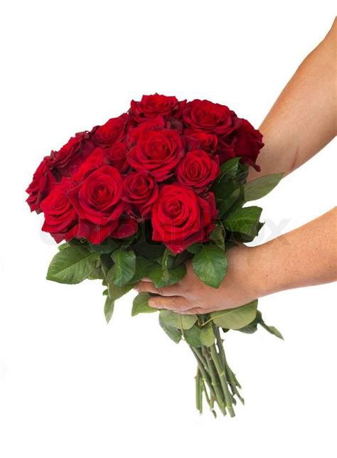 Two hands holding bouquet of red roses isolated on white background ...