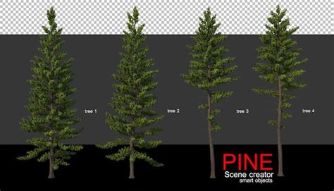 Premium PSD | Pine trees of various sizes