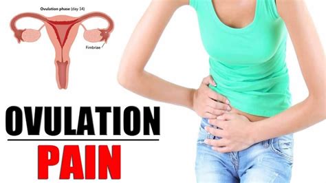 Painful Ovulation (Symptoms and Remedies) - Techealth Liberia