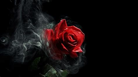 Gothic Roses Wallpaper (63+ images)