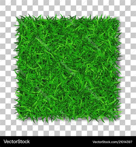 Grass square 3d beautiful green grassy field Vector Image