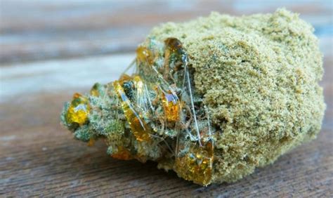 What are Cannabis Sun Rocks? | Go High Thai