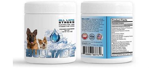 7 Best Electrolytes For Dogs Supplements: Natural Hydration Sources