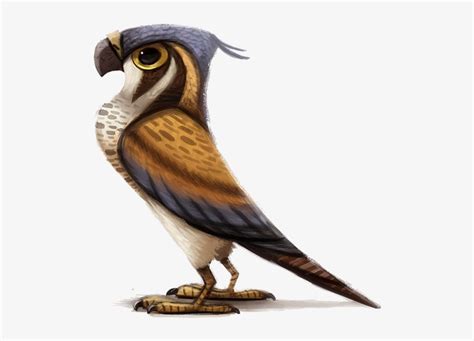 Falcon - Peregrine Falcon Drawing Cartoon - 1044x893 PNG Download - PNGkit