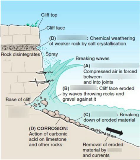 higher geography coasts, Formation of Wave-Cut Platform (Higher ...