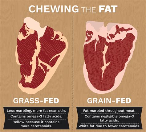 A Guide to Grass-Fed Beef | Fix.com