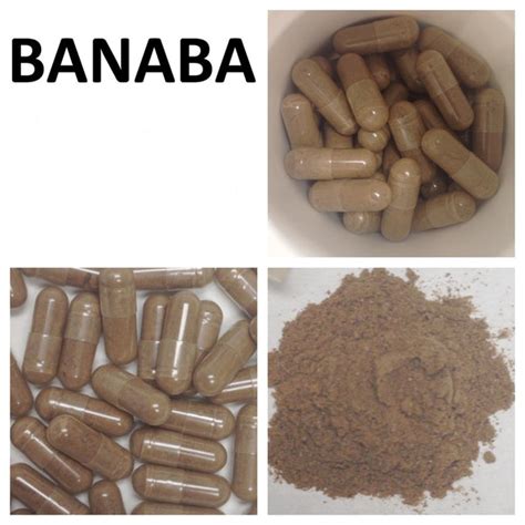 Banaba Extract with 1% Corosolic Acid, 250 mg, 60 Vegetable Capsules – Advance Physician Formulas