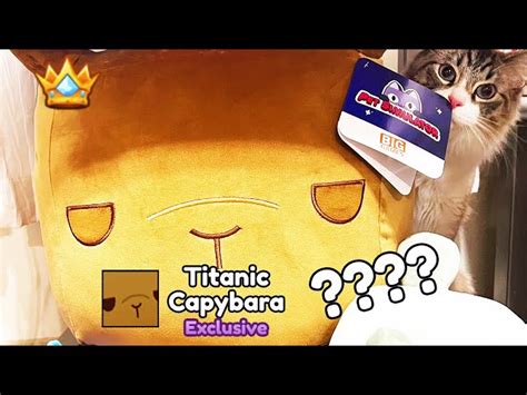 SECRET TITANIC CAPYBARA In Pet Simulator, 59% OFF