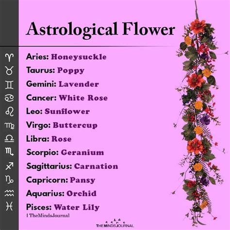 Aquarius flower – Artofit