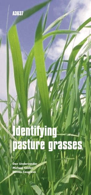 Identifying Pasture Grasses — The Learning Store