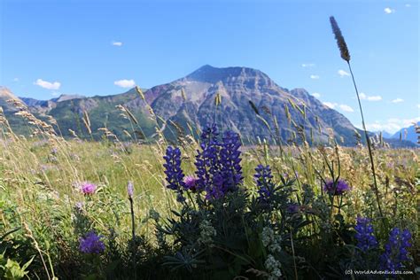 Waterton Lakes National Park Will Blow Your Mind - World Adventurists