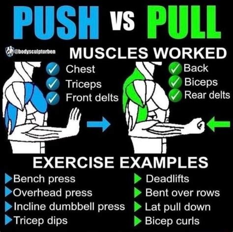 PUSH PULL MUSCLES WORKED Y) Chest Back Triceps Biceps (A) Front delts Y Rear delts ERCISE >Bench ...