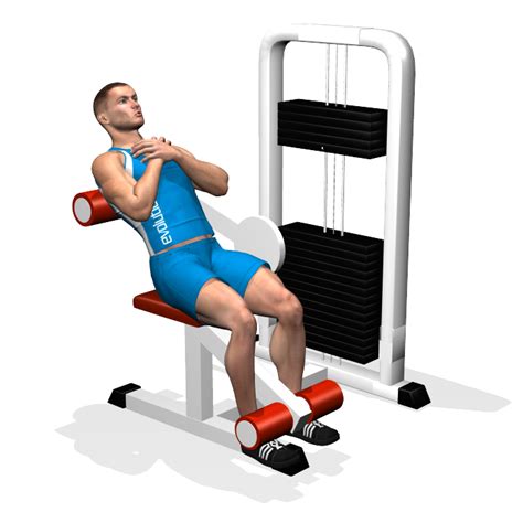 BACK MACHINE INVOLVED MUSCLES DURING THE TRAINING LATS | Workout, Allenamento, Esercizi