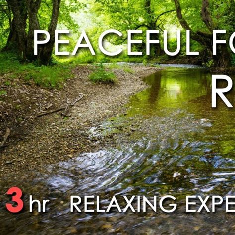 Stream Relaxing River Sounds -Peaceful Forest River -3 Hours sleep or ...