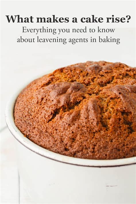 The complete guide to leavening agents and chemical leaveners - The ...