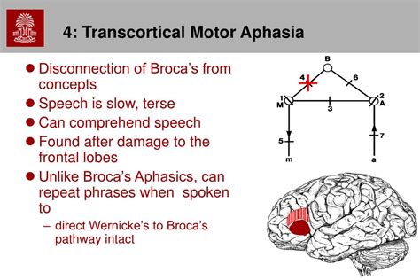 PPT - Chapter 19: Higher mental functions PowerPoint Presentation, free download - ID:389271