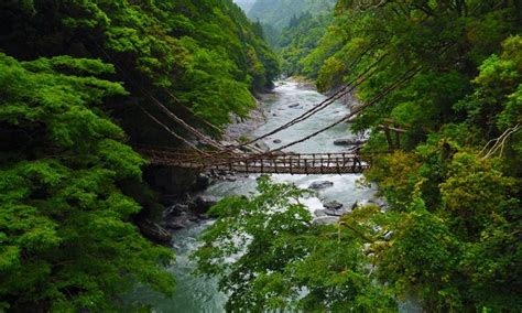 6 reasons you need to visit Shikoku island, Japan | Wanderlust ...