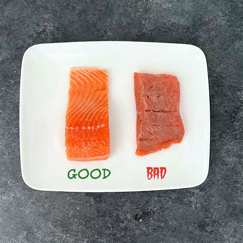 How To Tell if Salmon is Bad (2024)