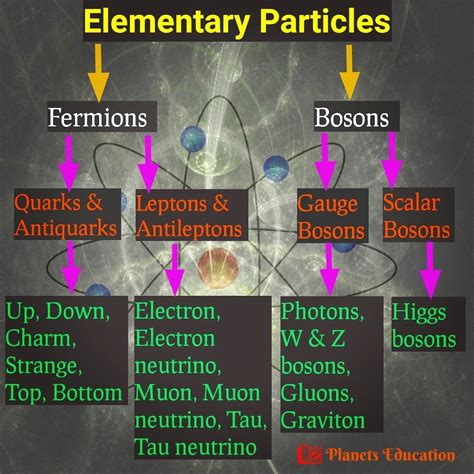 Types of Elementary Particles | Elementary particle, Theoretical physics, Elementary