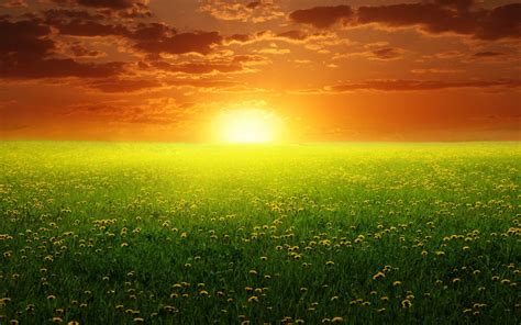 Dream Nature With Sunset Background For PowerPoint - Nature PPT Templates