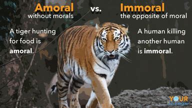 Nonmoral Definition & Meaning | YourDictionary