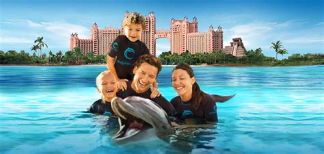 swimming-with-dolphins-bahamas - Key Caribe