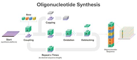 Reducing Our Chemical Footprint for a Sustainable Future in Biotechnology | Twist Bioscience