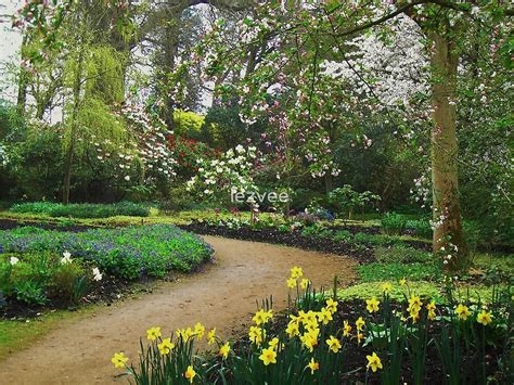 "Spring In Savill Gardens" by lezvee | Redbubble